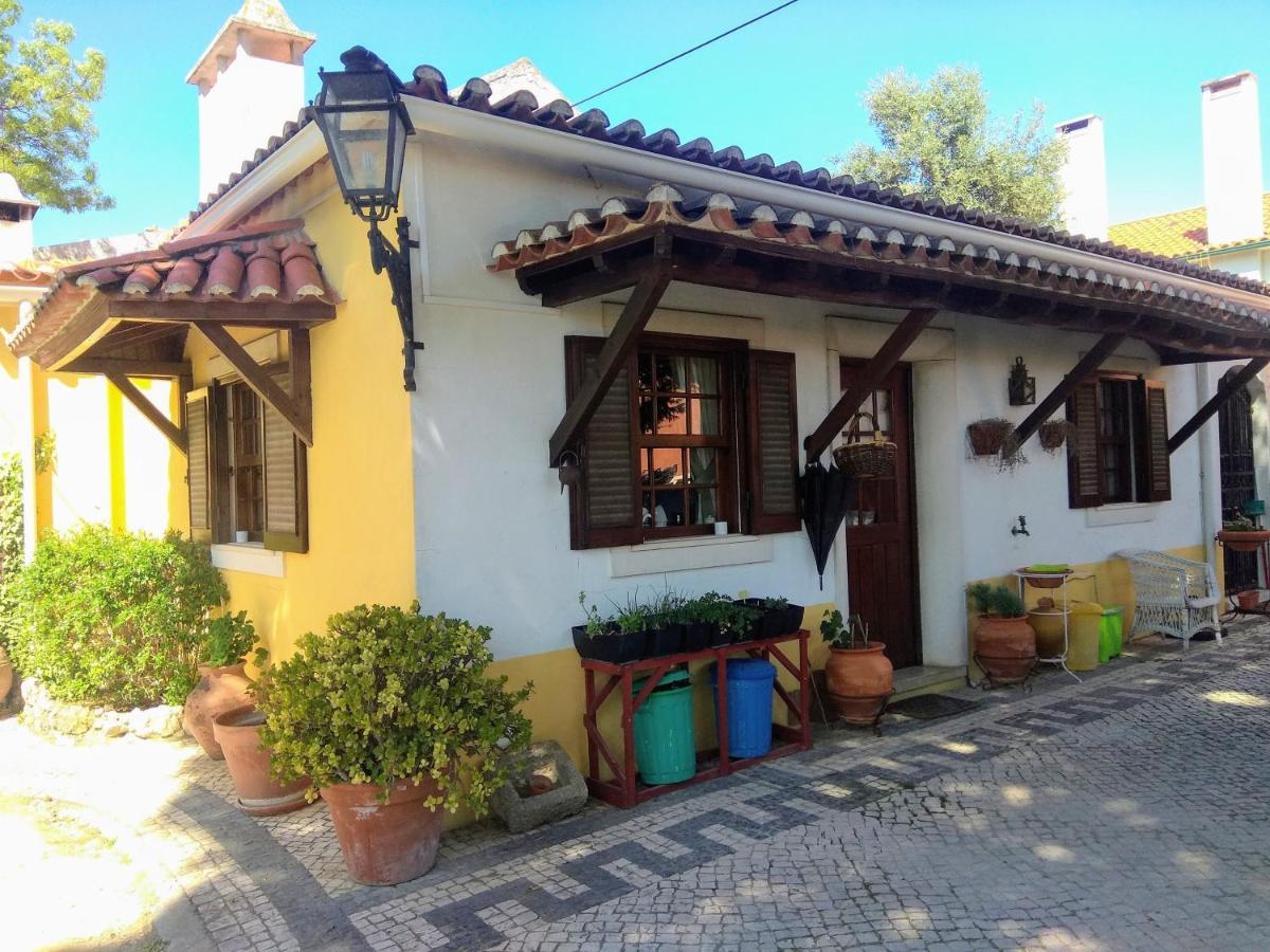 Casa Dos Arrabidos Guest House Torres Novas Exterior foto