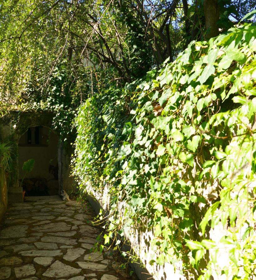 Casa Dos Arrabidos Guest House Torres Novas Exterior foto