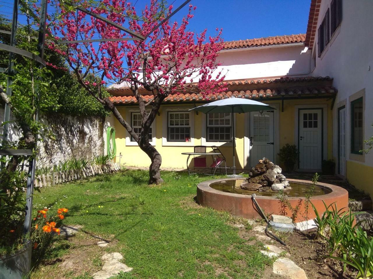 Casa Dos Arrabidos Guest House Torres Novas Exterior foto